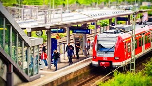 开云app入口-城市马拉松与低碳骑行联动推广健康理念，城市马拉松活动策划方案