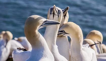 开云在线-节奏混乱时球员应如何优先选择防守站位，节奏型控卫的球鞋